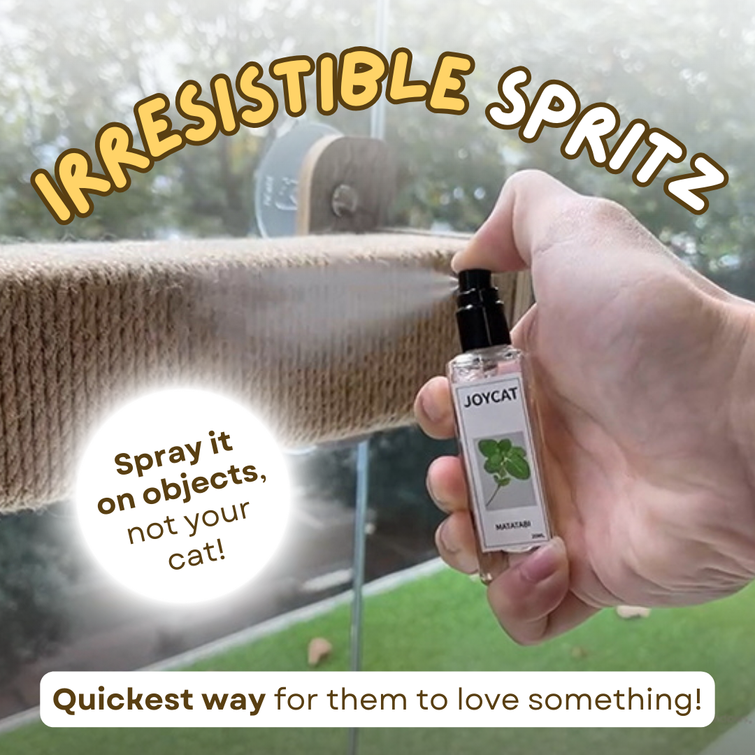 Kat kattenkruid Cupid Spray - maak je kat verliefd