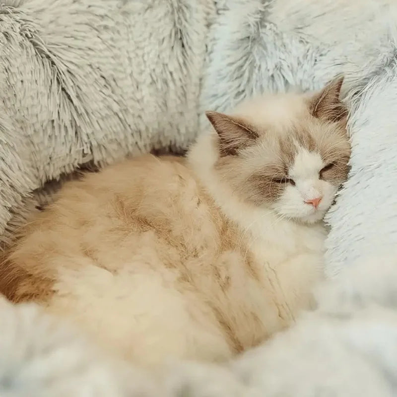 Fluffy Donut Kattentunnel