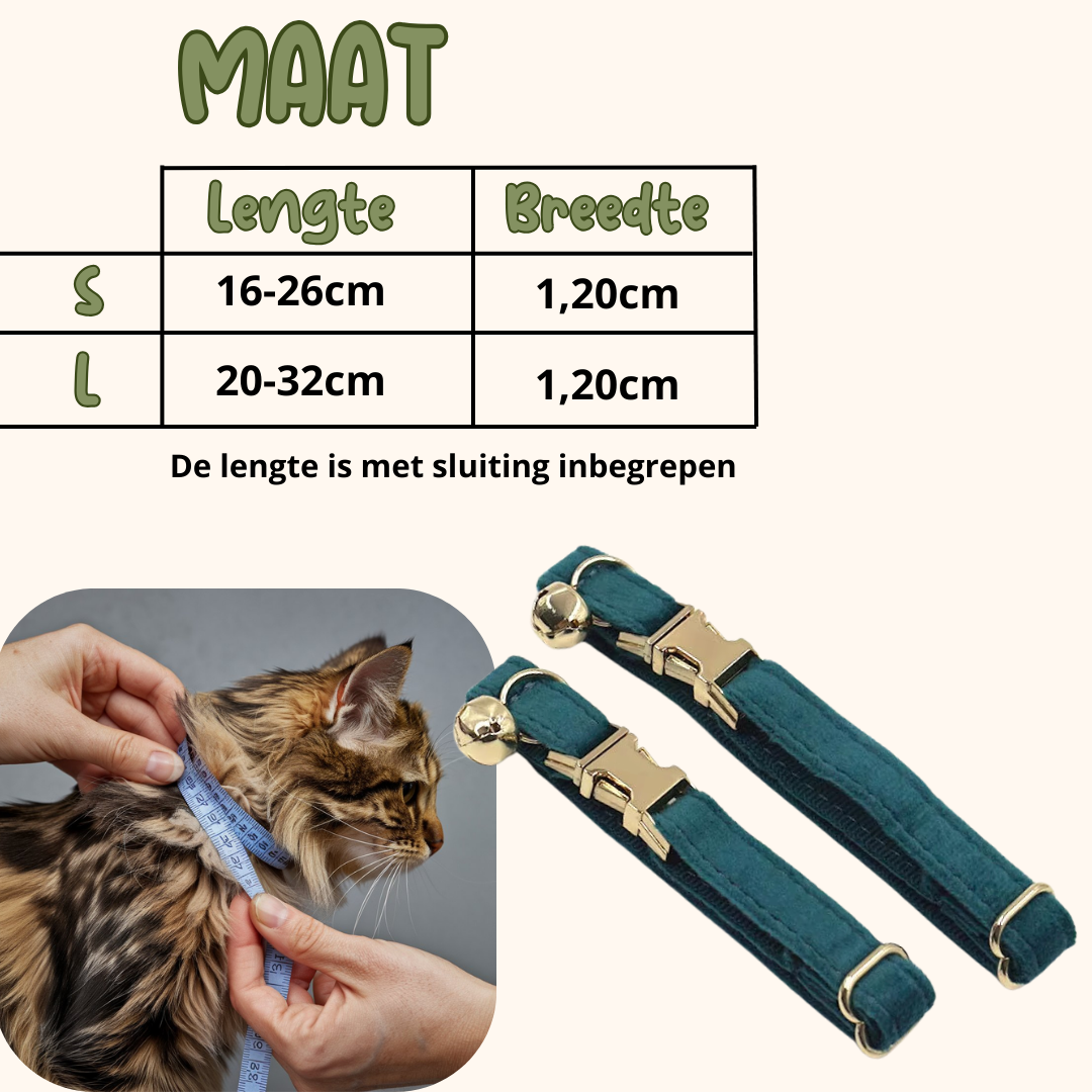 Velvet Royal kattenhalsband met Belletje & verwijderbare Strik groen