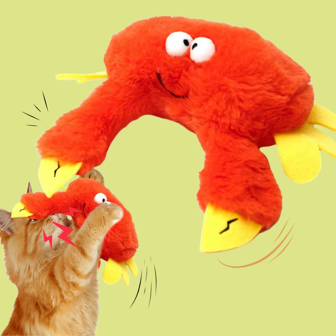 CatFlapster Beweegt en Zingt interactief kattenspeeltjes