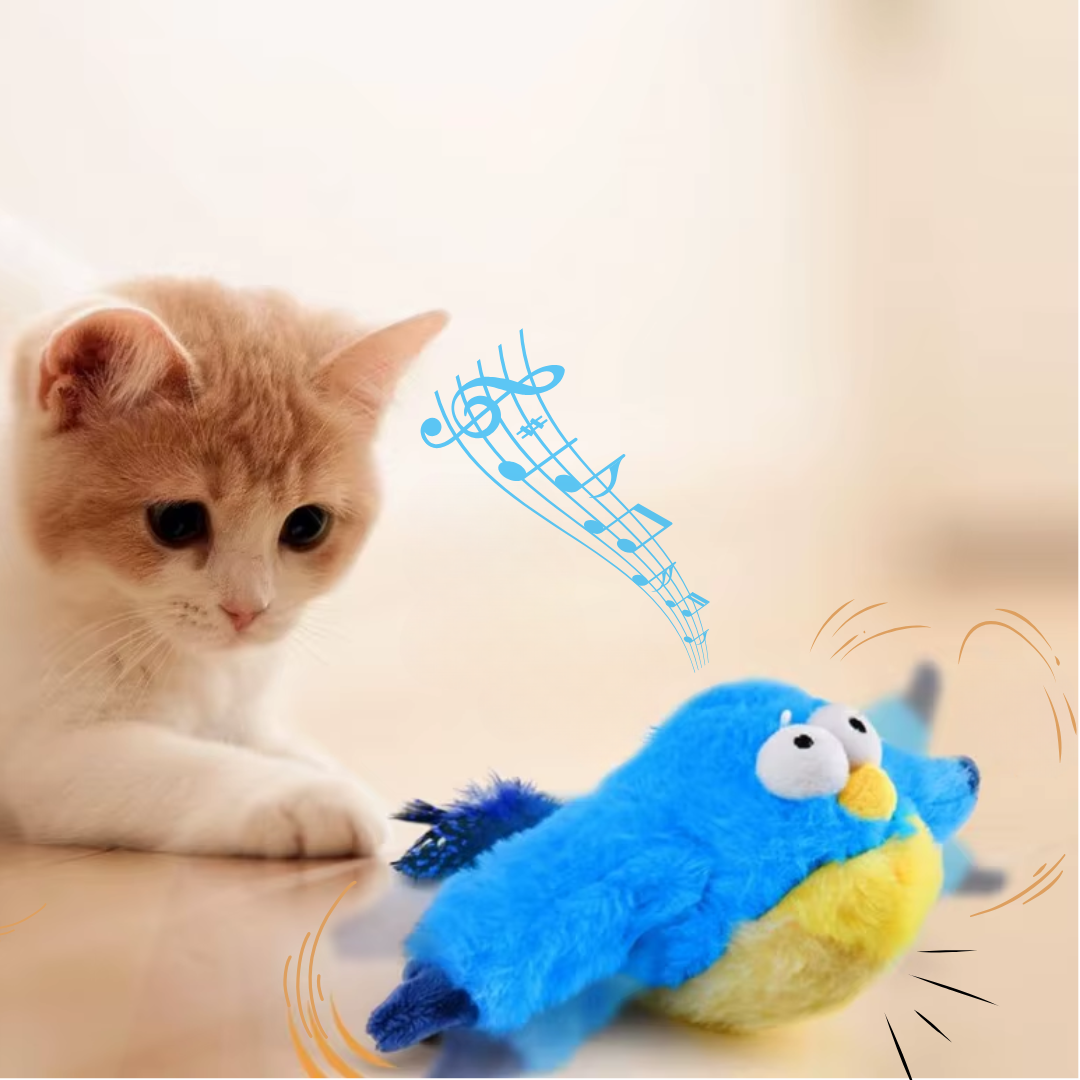 CatFlapster Beweegt en Zingt interactief kattenspeeltjes