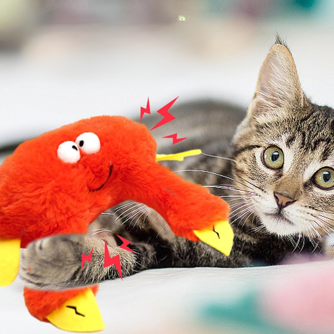 CatFlapster Beweegt en Zingt interactief kattenspeeltjes