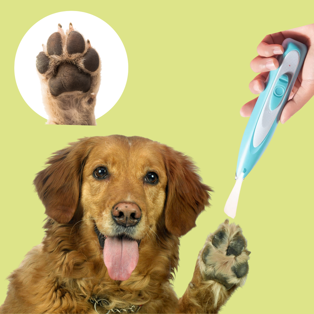 hondentondeuse - pootjes trimmer hond met Led Licht