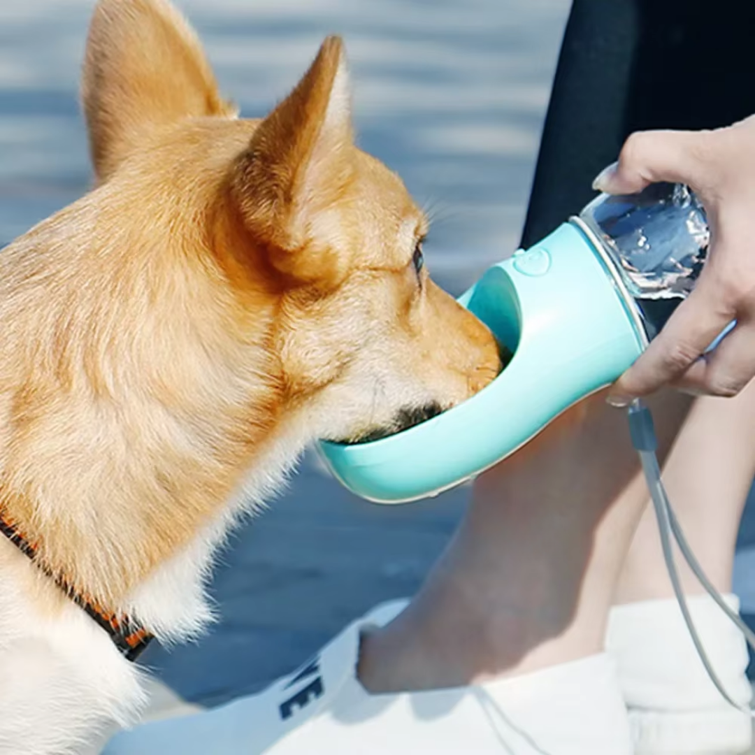 Draagbare Waterfles Onderweg hydrateren zonder zorgen