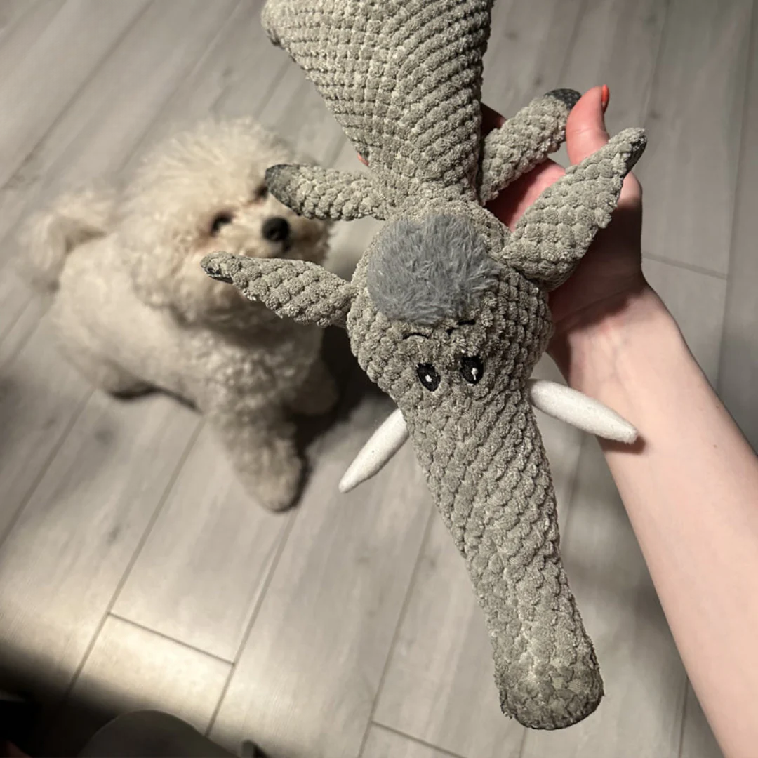 ChewZoo - Extra Sterk hondenspeelgoed