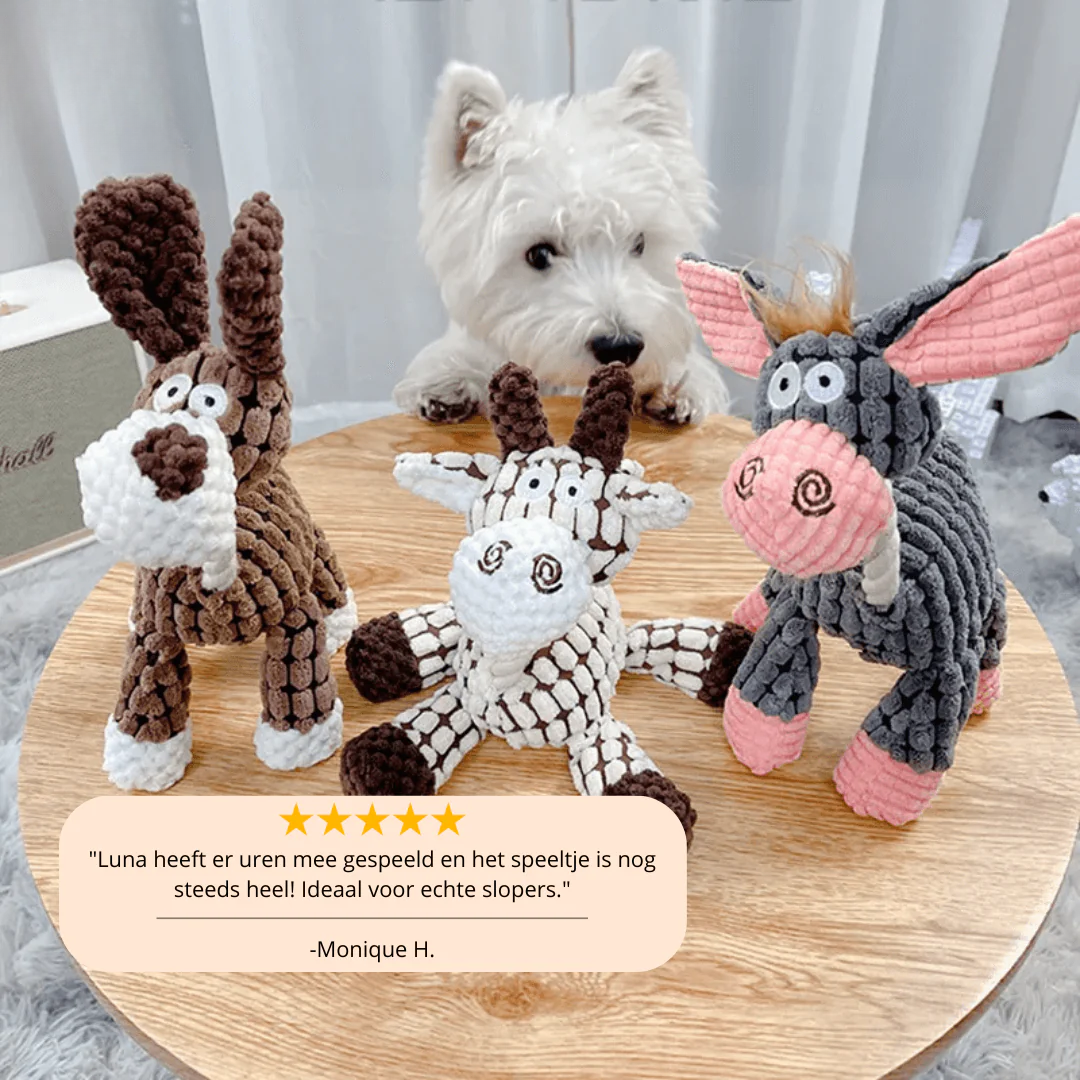 ChewMates Extra Sterk hondenspeelgoed