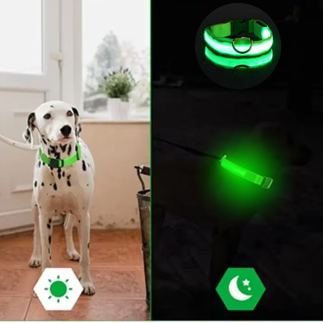 Lichtgevende hondenhalsband Onmisbaar voor Veiligheid & Gemoedsrust in het donker