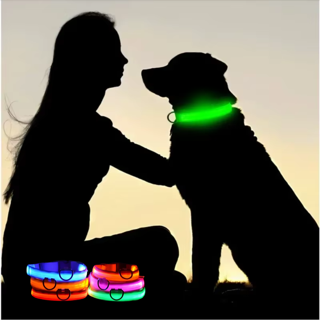 Lichtgevende hondenhalsband Onmisbaar voor Veiligheid & Gemoedsrust in het donker