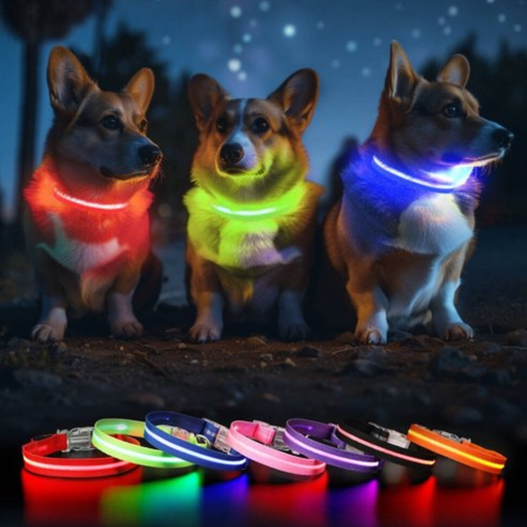 Lichtgevende hondenhalsband Onmisbaar voor Veiligheid & Gemoedsrust in het donker