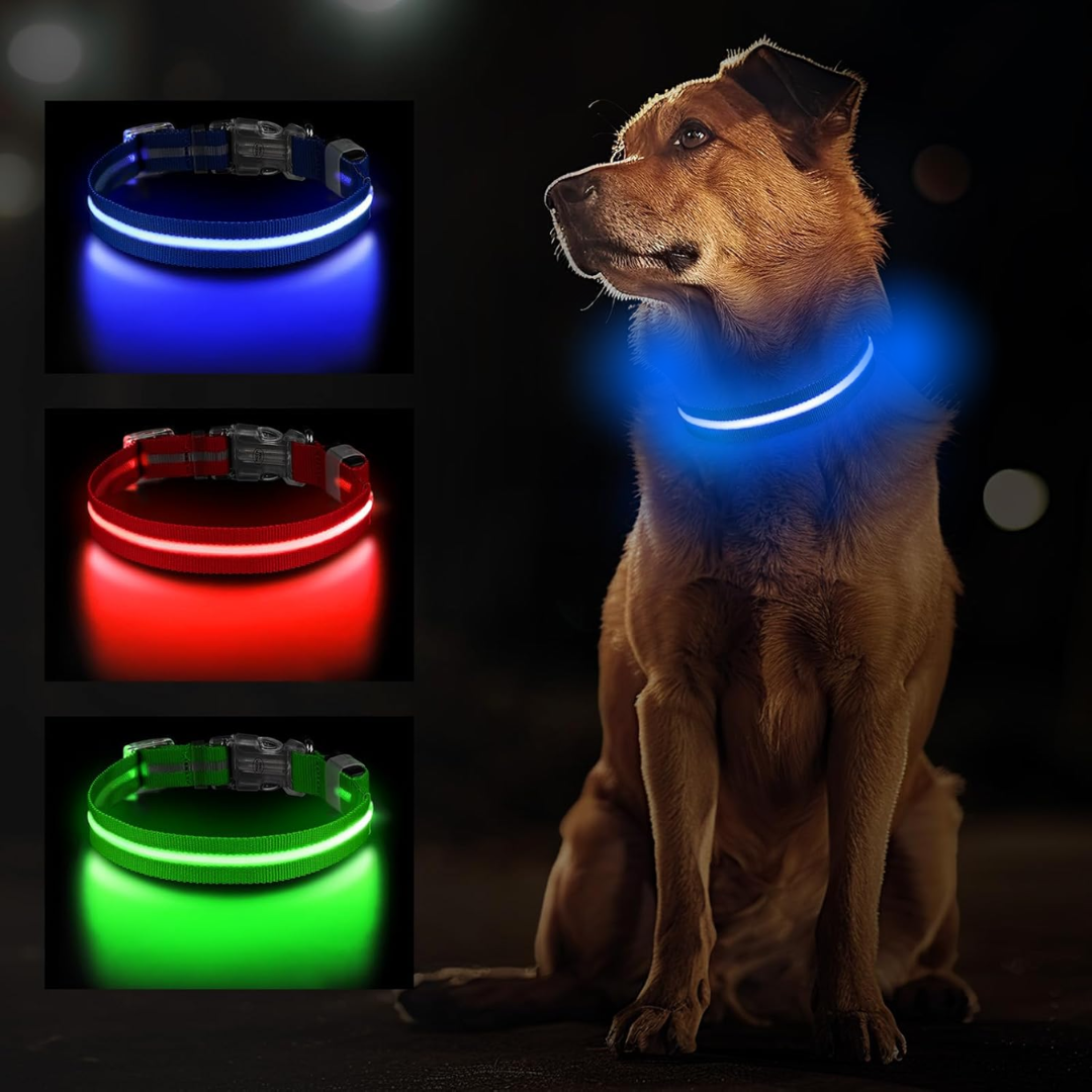 Lichtgevende hondenhalsband Onmisbaar voor Veiligheid & Gemoedsrust in het donker