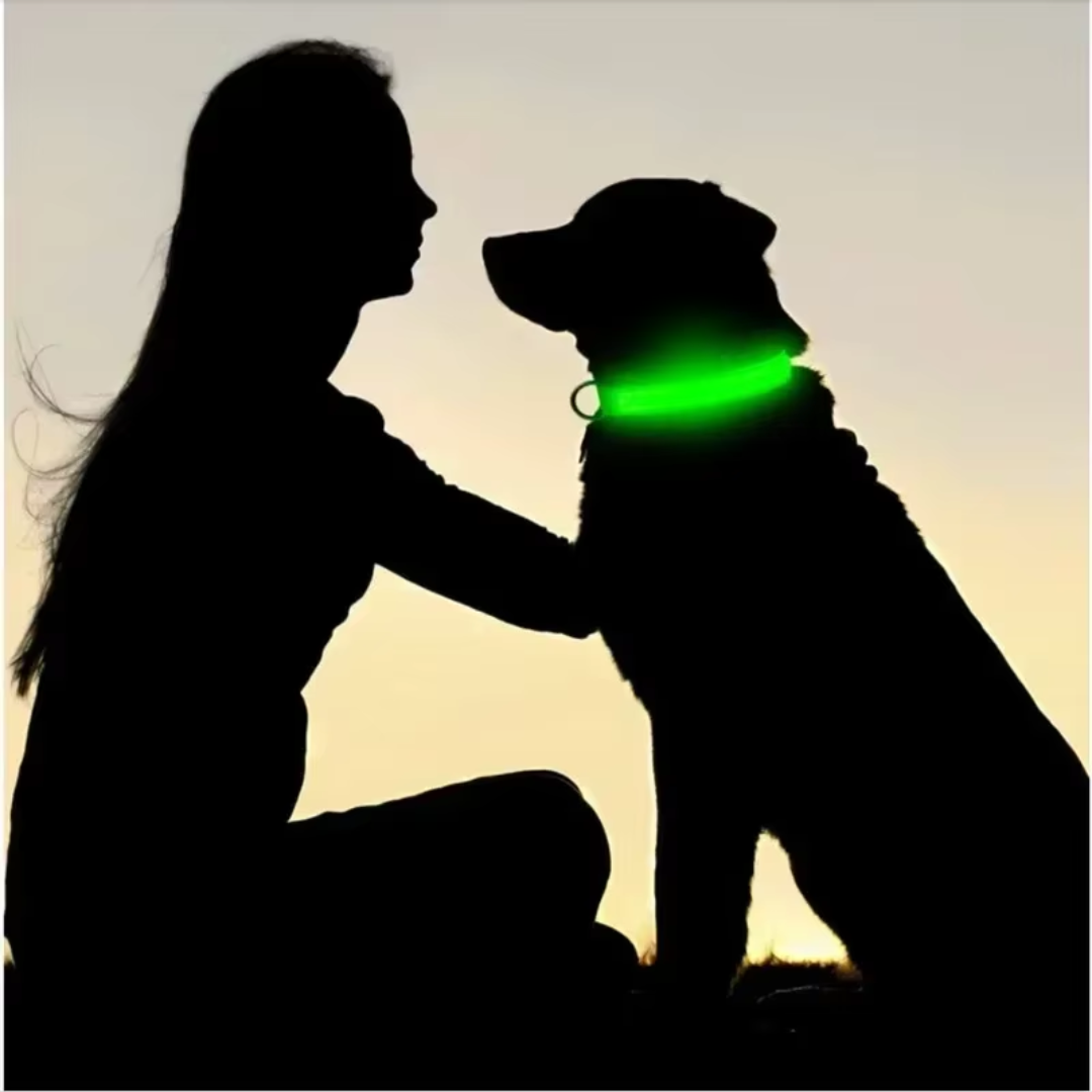 Lichtgevende hondenhalsband Onmisbaar voor Veiligheid & Gemoedsrust in het donker