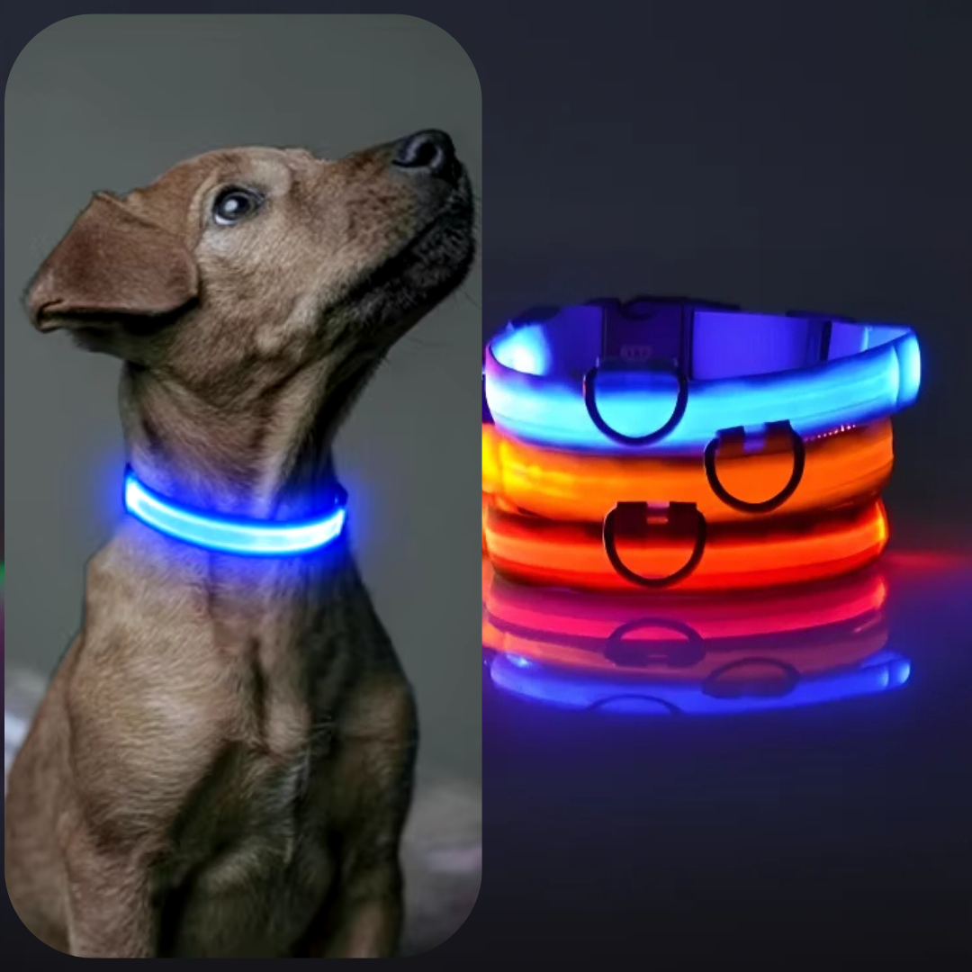 Lichtgevende hondenhalsband Onmisbaar voor Veiligheid & Gemoedsrust in het donker