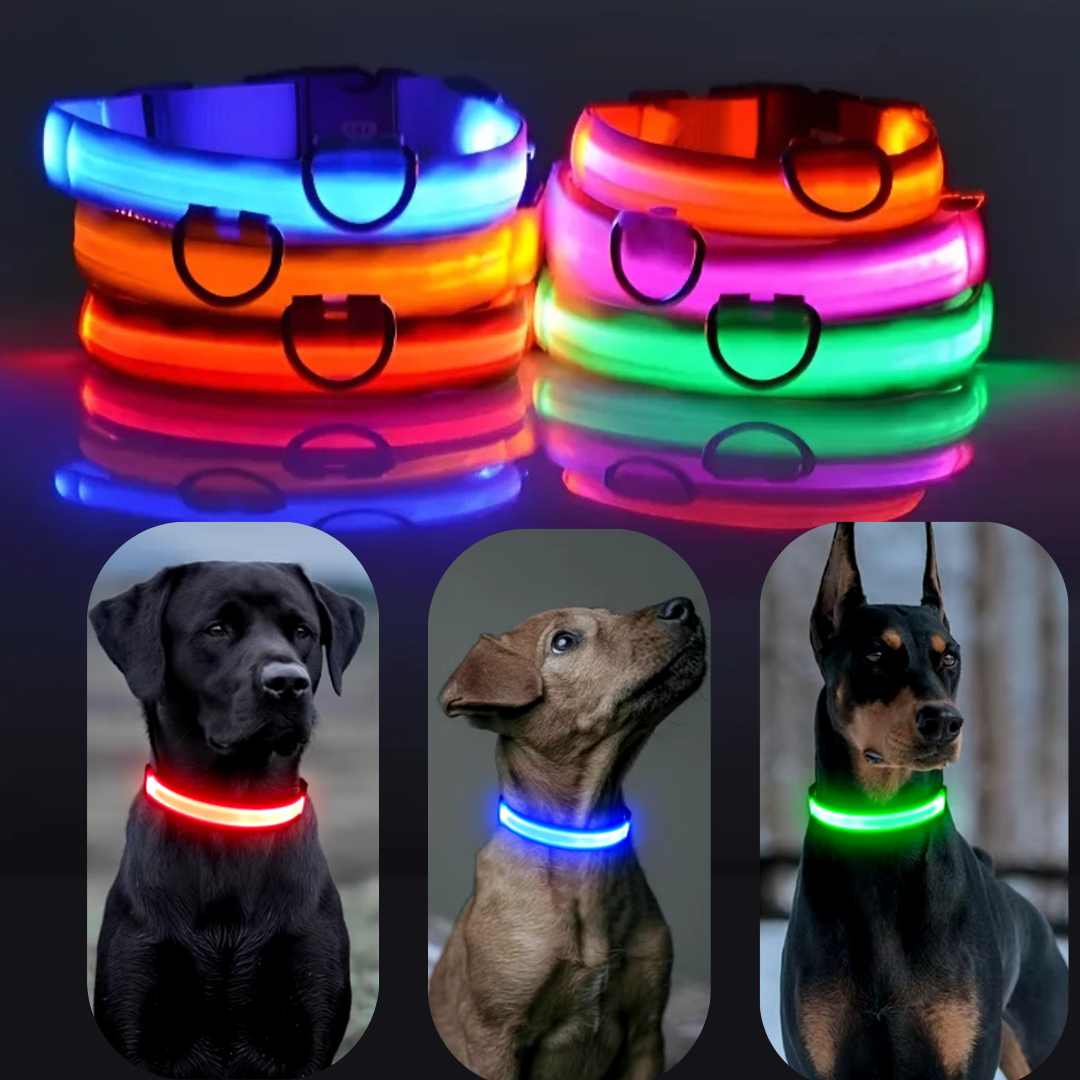 Lichtgevende hondenhalsband Onmisbaar voor Veiligheid & Gemoedsrust in het donker