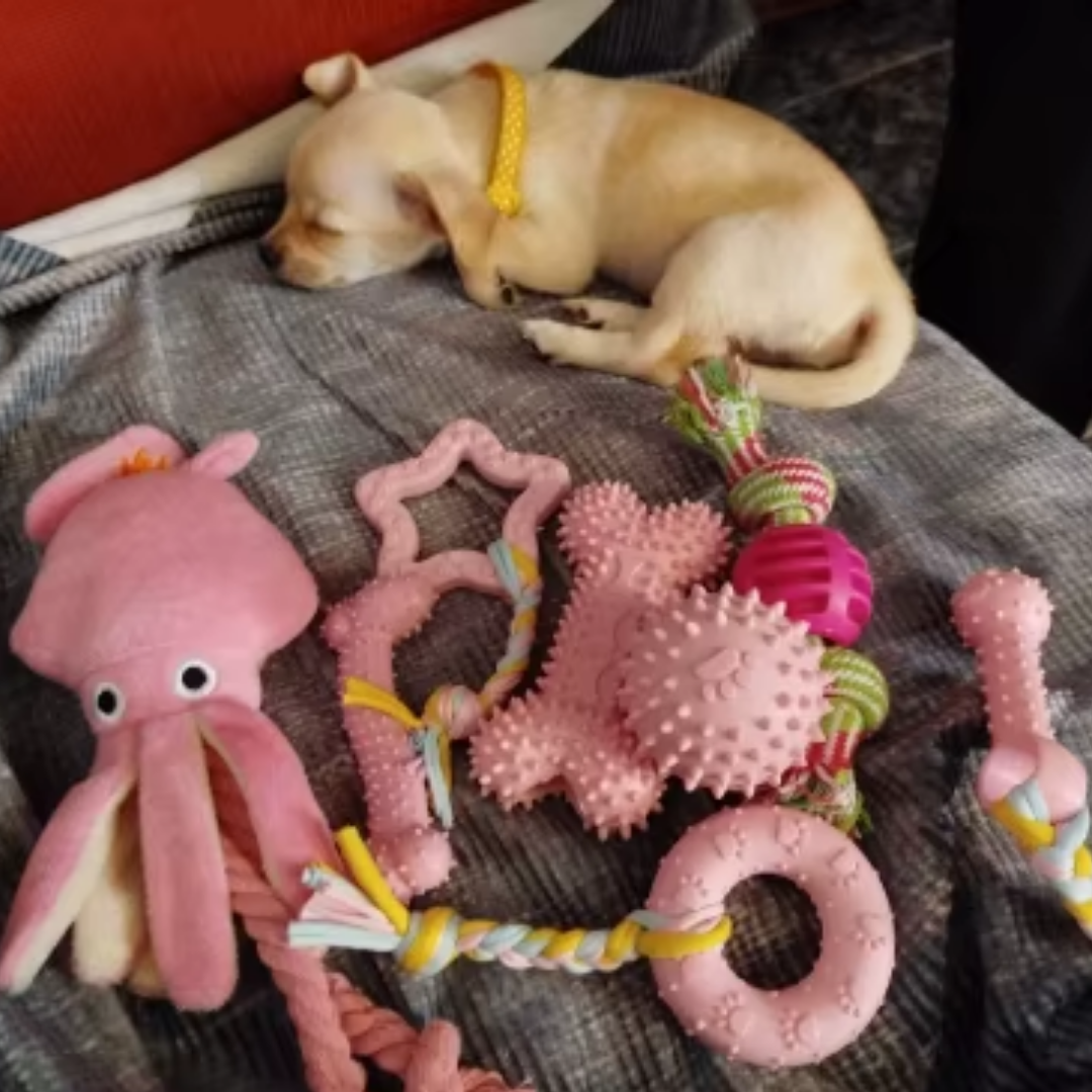 TPR Puppy hondenspeelgoed & Tandverzorging voor kleine honden