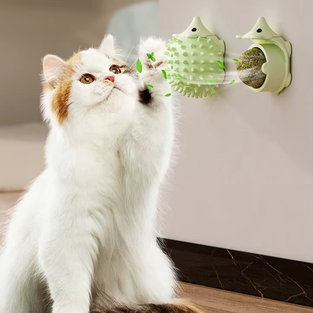Egel kattenkruid catnip bal kattenspeeltjes met massage borstel