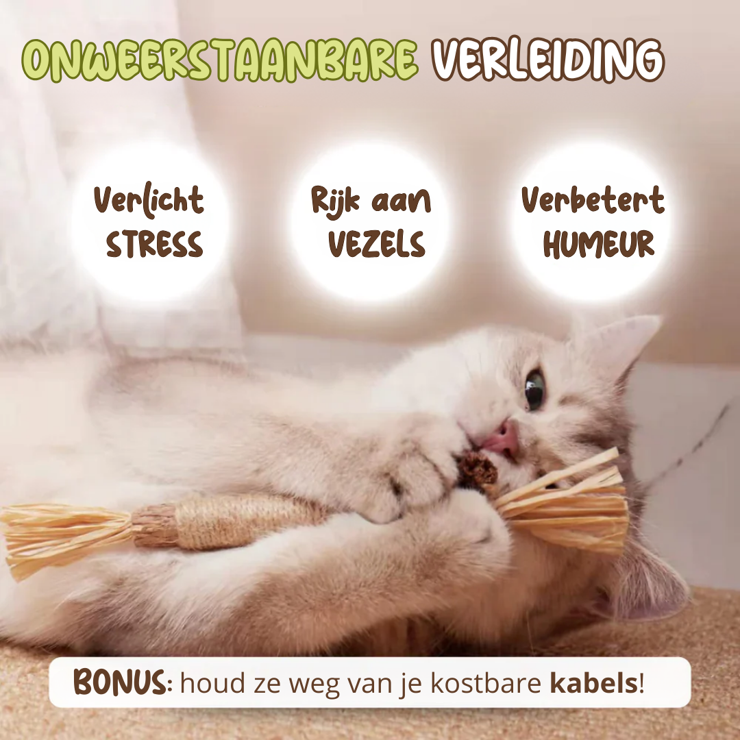 Natuurlijk kauw kattenspeeltjes Reinig de Tanden Natuurlijk met Matatabi, Hennep & Zeegras