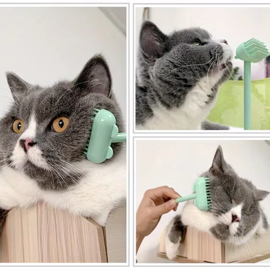 Heerlijke Kat Massageborstel met belletje - Bereik moeilijke plaatsen & Versterk jullie band