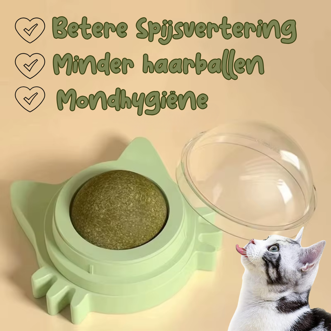 Kattenkruid catnip lik bal