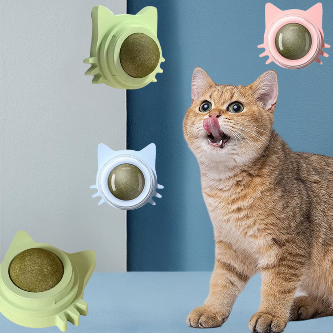 Kattenkruid catnip lik bal