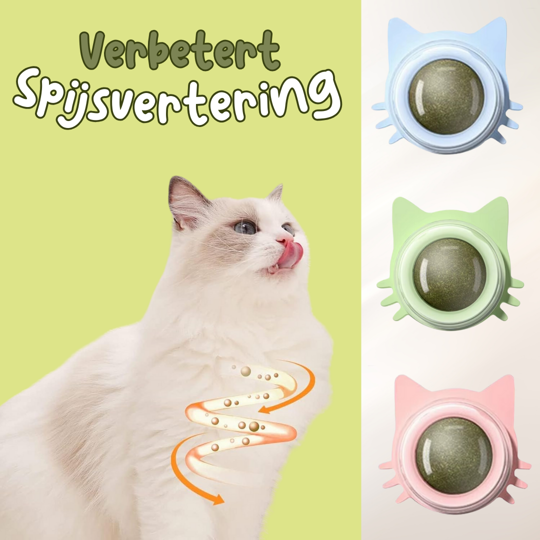 Kattenkruid catnip lik bal