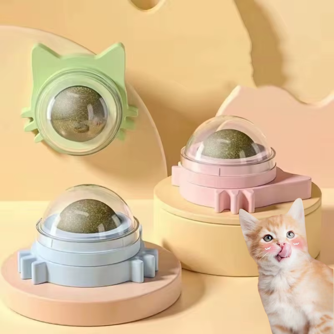 Kattenkruid catnip lik bal