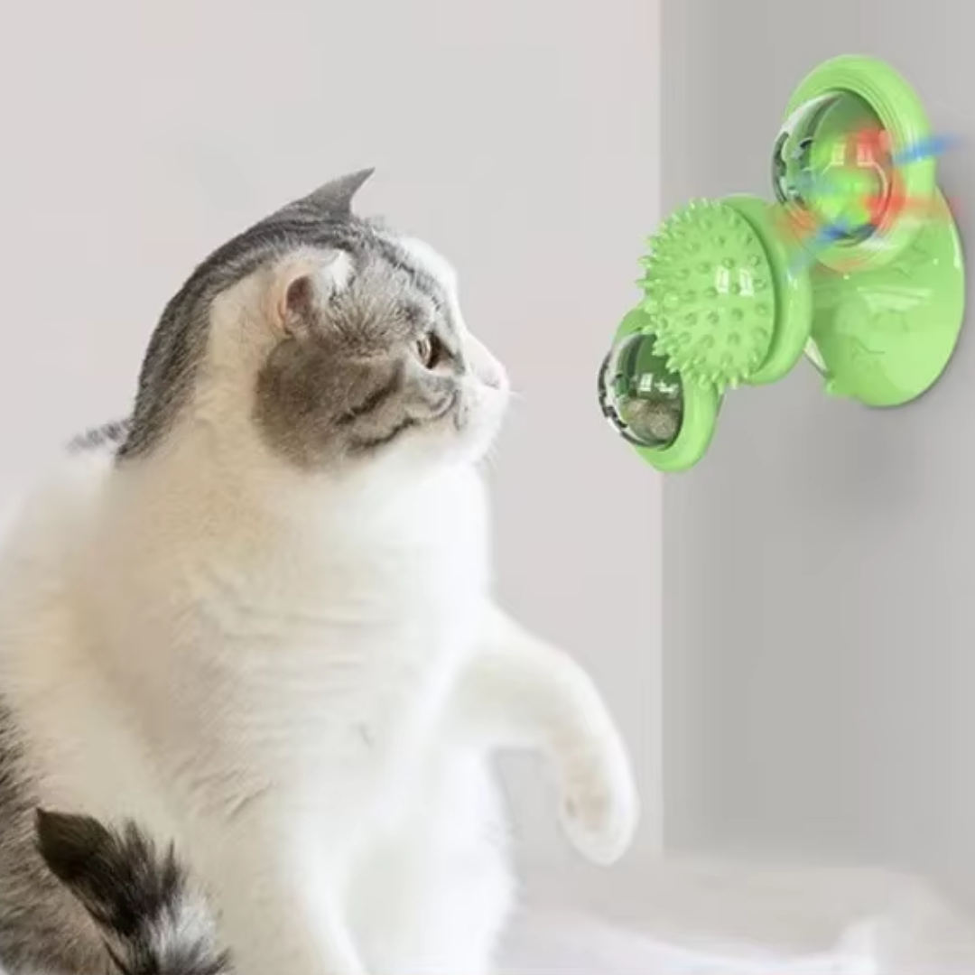 SpinChase - interactieve Bewegende kattenspeeltjes met Licht
