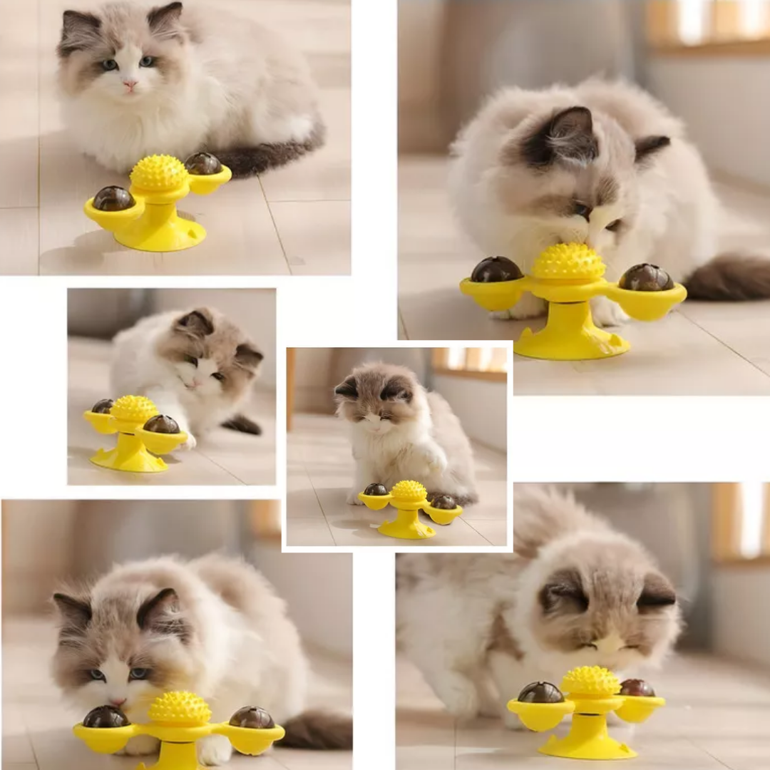 SpinChase - interactieve Bewegende kattenspeeltjes met Licht