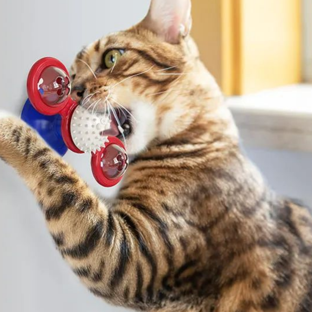 SpinChase - interactieve Bewegende kattenspeeltjes met Licht