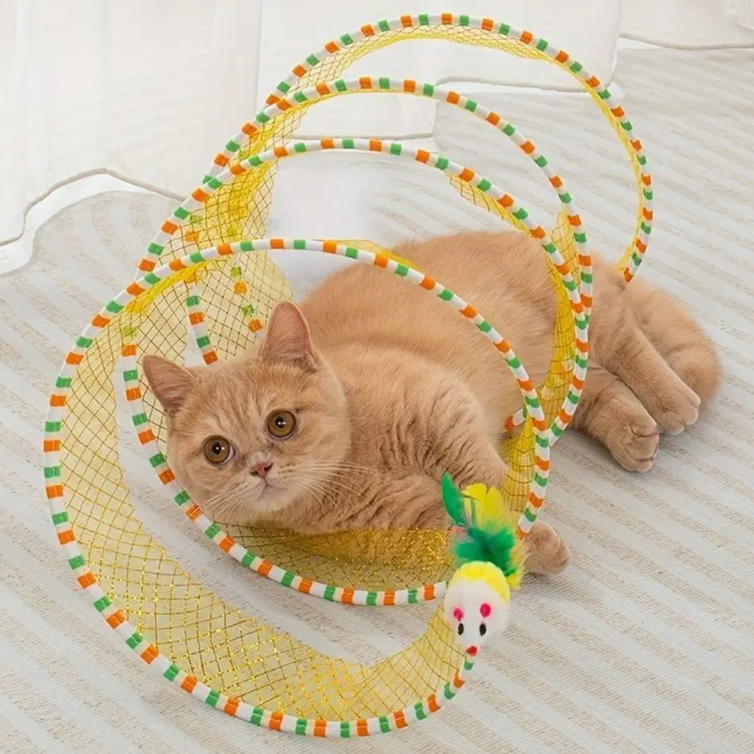 Kattentunnel Open opvouwbare Tunnel met kattenspeeltjes