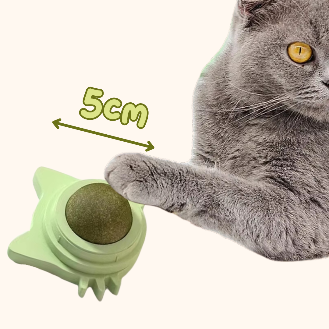 Kattenkruid catnip lik bal