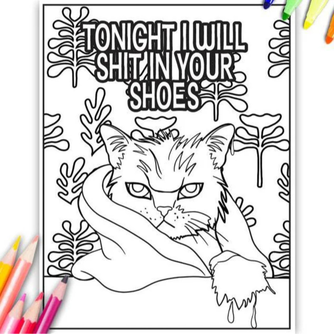 Kitty memes katten kleurboek volwassenen Mindfulness & Ontspanning