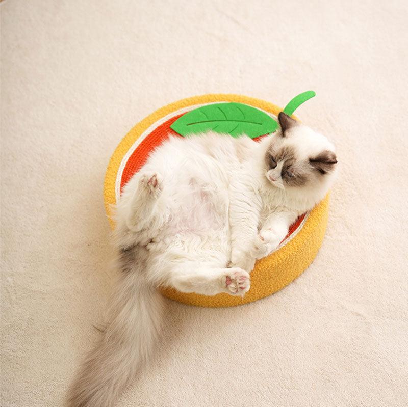 Katten Krabmat & Kattenmand in 1