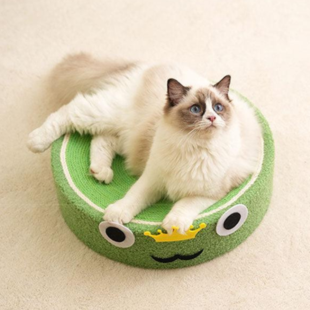 Katten Krabmat & Kattenmand in 1