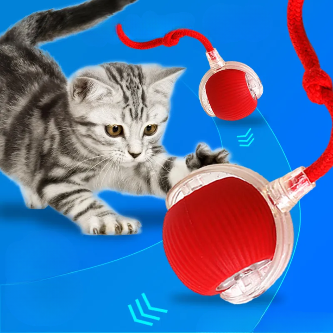 ChaseBall kattenspeelgoed - Bewegende bal met Licht voor Eindeloos Kattenplezier