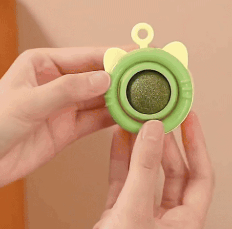 kattenkruid catnip bal kattenspeeltjes