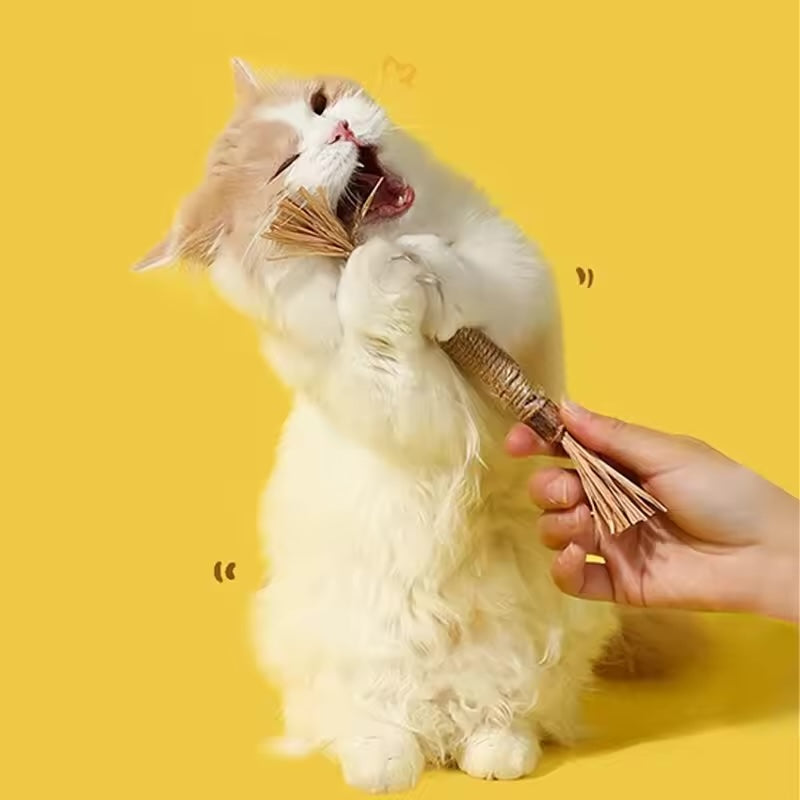 Natuurlijk kauw kattenspeeltjes Reinig de Tanden Natuurlijk met Matatabi, Hennep & Zeegras