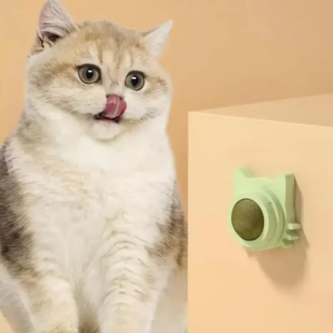 Kattenkruid catnip lik bal