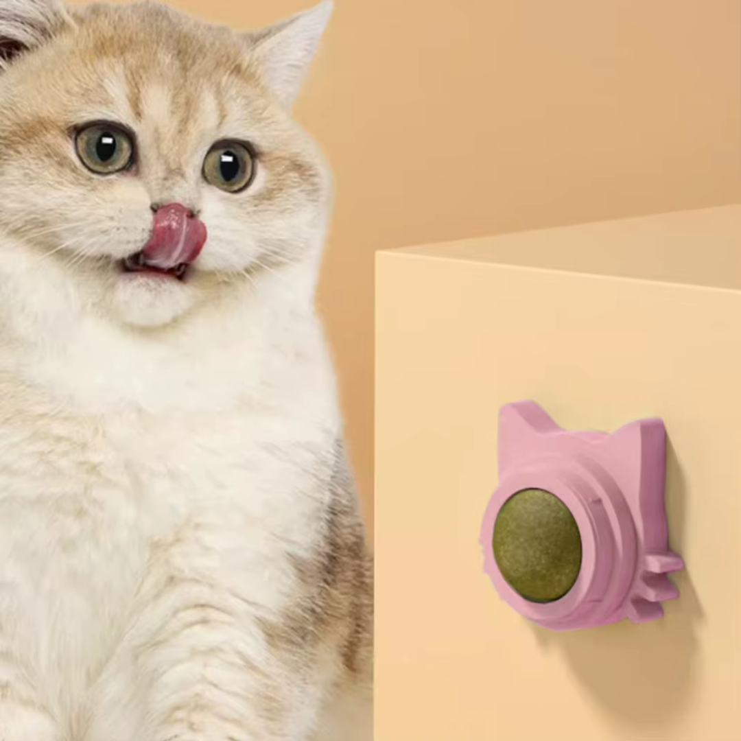 Kattenkruid catnip lik bal