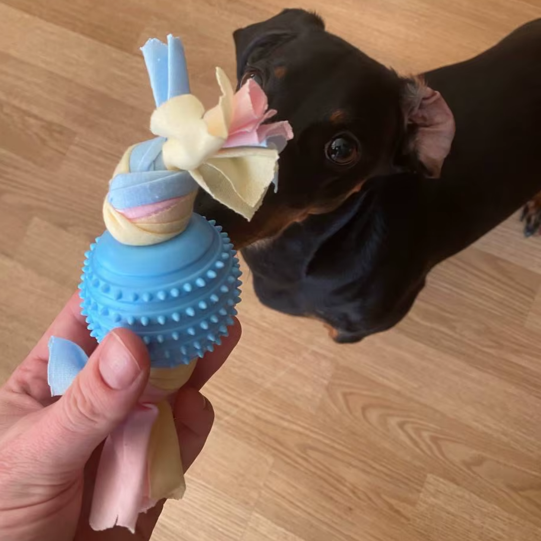 TPR Puppy hondenspeelgoed & Tandverzorging voor kleine honden