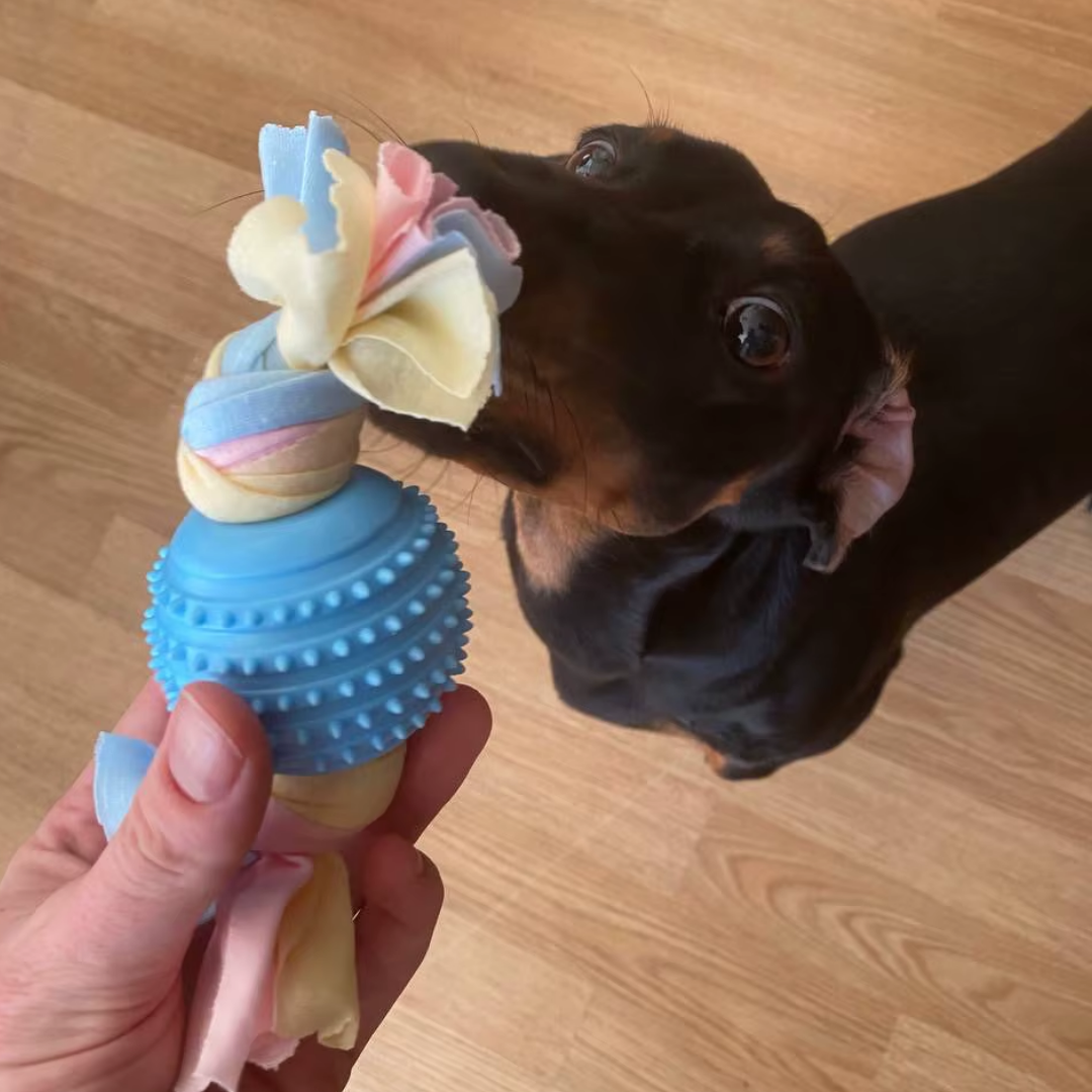 TPR Puppy hondenspeelgoed & Tandverzorging voor kleine honden
