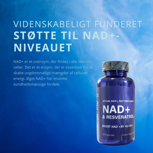 CellRenew Daglig Cellefornyelsesformel