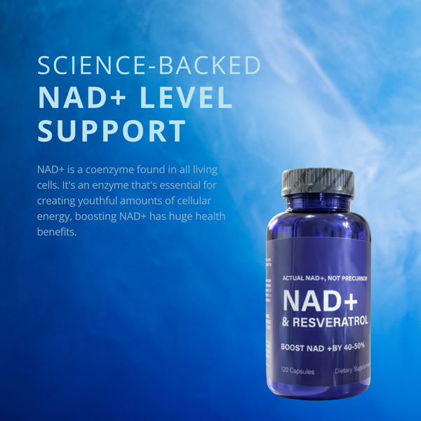 CellRenew Daily Cell Regenerator Formula