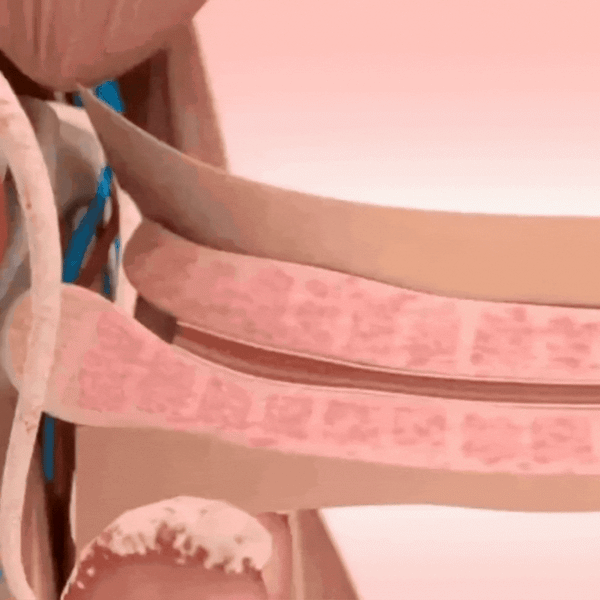 Men’s External Delayed Spray  Hard Results in 3 Minutes – Guaranteed!