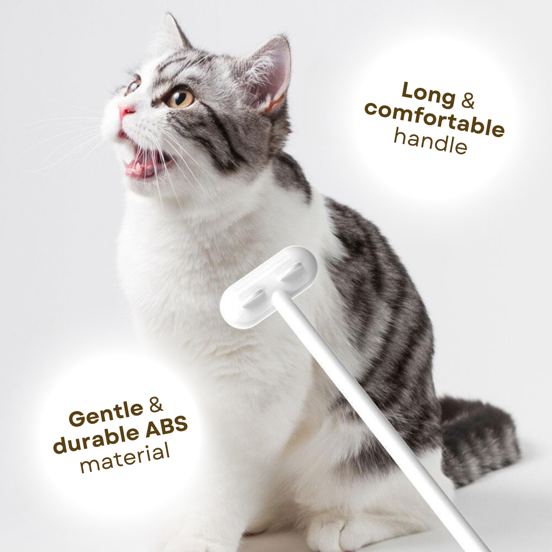 Heerlijke Kat Massageborstel met belletje - Bereik moeilijke plaatsen & Versterk jullie band
