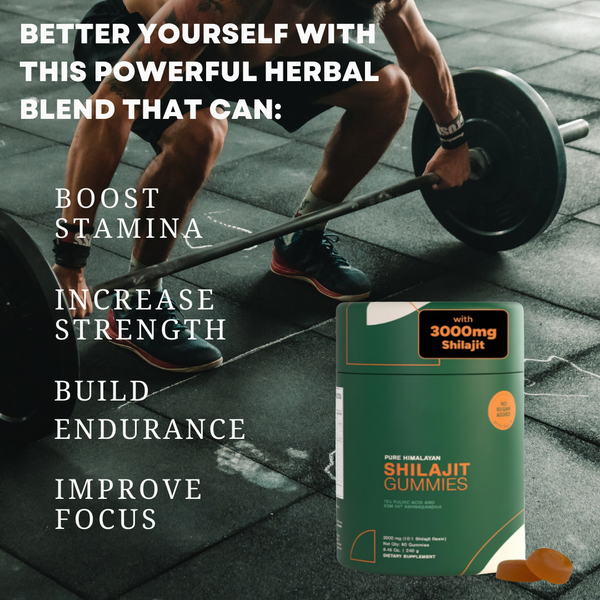 Himalayan Energy Recovery Gummies