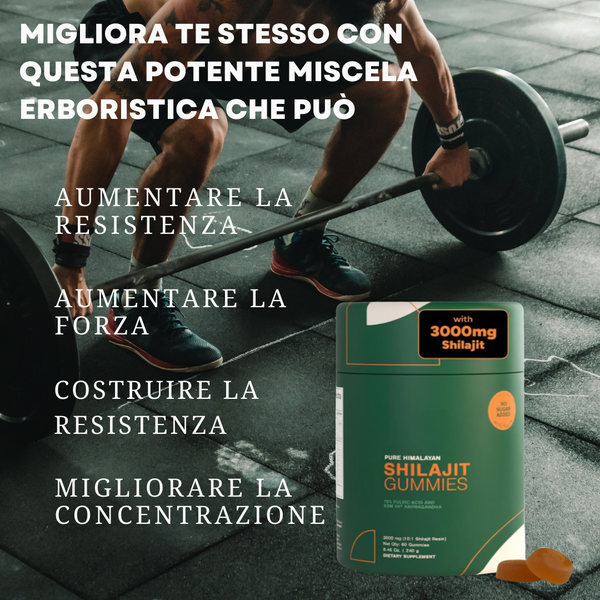 Himalayan Energy Recovery Gummies