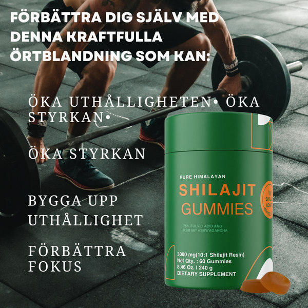 Himalayan Energy Recovery Gummies