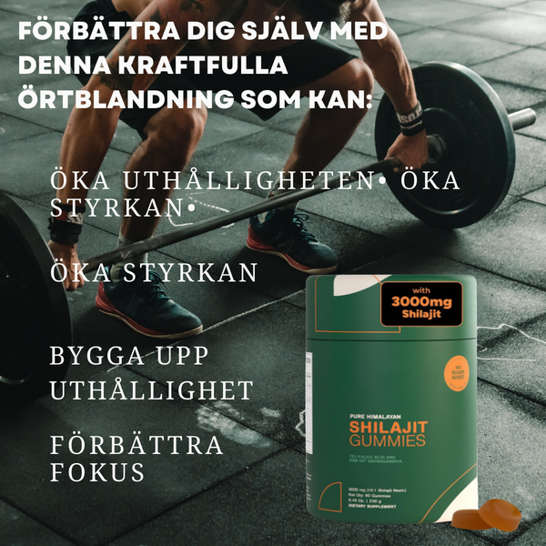 Himalayan Energy Recovery Gummies