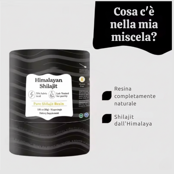 Potenziatori di Shilajit Puro dell