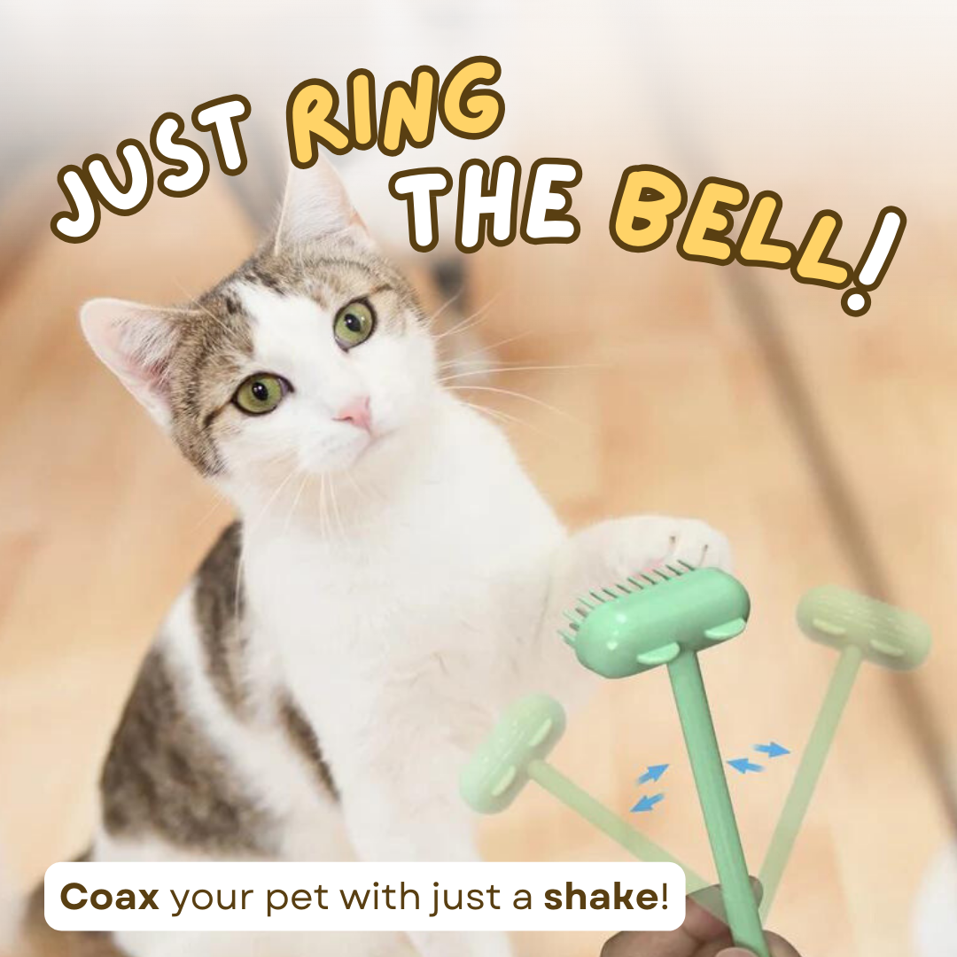 Heerlijke Kat Massageborstel met belletje - Bereik moeilijke plaatsen & Versterk jullie band